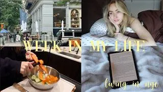 Thumbnail: living alone in nyc: episode 4! (reset, healthy meals, workouts & coffee dates)