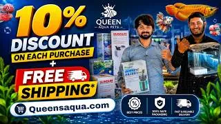 Thumbnail: Cheapest price Aquarium Fish & filters , Heaters,Tank Sale! In Bangalore 10% OFF + FREE Shipping