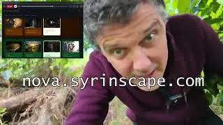 Thumbnail: Syrinscape Nova will get you the immersion you want...