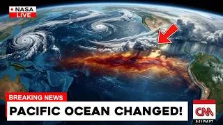 Thumbnail: The Pacific Ocean Just Changed — And Scientists Are Worried About What Comes Next
