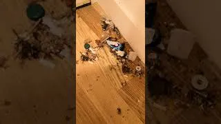 Thumbnail: Wall st.  Egy undorito apartman a 31.emeleten....