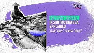 Thumbnail: The 'fishy' dispute in South China Sea, explained