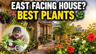 Thumbnail: Best Plants & Vegetables for East Facing Balcony, Terrace & Garden #kitchengarden