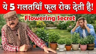 Thumbnail: Flowering Plants को बार-बार खिलाने का Scientific तरीका | ये गलतियाँ मत कीजिए #floweringplants