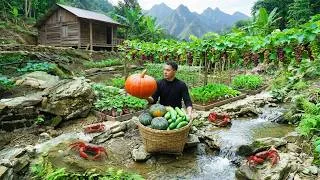 Thumbnail: Living Alone in the Forest: Organic Gardening, Harvesting Vegetables, and Fishing