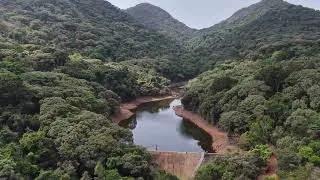 Thumbnail: World Rainforest Day.  This is what hope looks like.