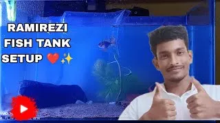 Thumbnail: RAMIREZI Fish Tank Setup ❤️✨ | New 2026 Indoor Aquarium Setup 🐠 | Beautiful Aquarium Ideas
