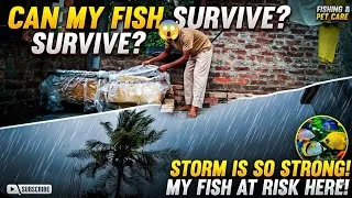 Thumbnail: Bohat Jor Se Tufan Aaya Hai! 😱 Can My Fish Survive This Extreme Storm? 🌧️⛈️