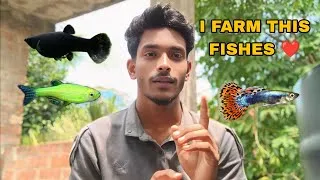 Thumbnail: I Farm This Fishes 🐠 || Aquarium Fish Farm Setup 2026 