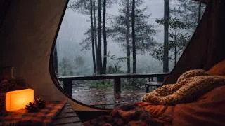 Thumbnail: Rain Sounds in the Forest | Deep Sleep, Relaxation & Focus