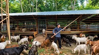 Thumbnail: A Peaceful Day on the Goat Farm | Simple & Slow Living