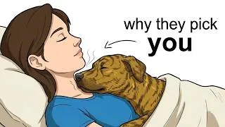 Thumbnail: Why Your Dog Sleeps With You? (The Science Behind It)