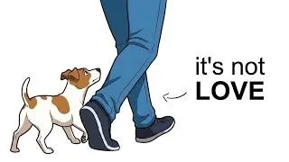 Thumbnail: Why Your Dog Follows You EVERYWHERE? (Backed by Science)