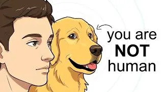 Thumbnail: Your Dog Doesn't Think You're Human (Study Proves It)