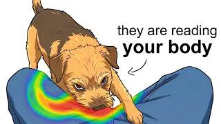 Thumbnail: Why Your Dog Sniffs You Down There? (Science Explained)