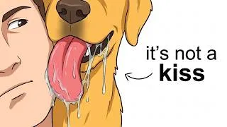 Thumbnail: Why Your Dog Licks You? (The Science Behind It)