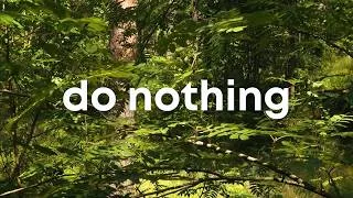 Thumbnail: Do Nothing - Bring Balance Back To Your Nervous System