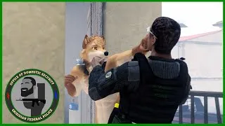 Thumbnail: The Uvula Bandit - Skibidiapasta