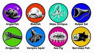 Thumbnail: Every Disturbing Sea Creatures Explained