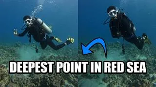 Thumbnail: Scuba Diving in Aqaba, Jordan 🇯🇴 | Exploring the Red Sea Underwater