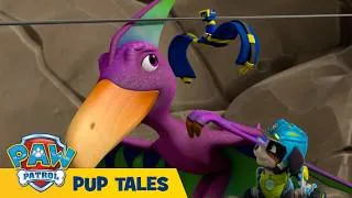 Thumbnail: 🐶 Dino Rescue: Pups Save a Pterodactyl | PAW Patrol | Cartoons for Kids
