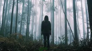 Thumbnail: UserN - Forest [Future Garage]