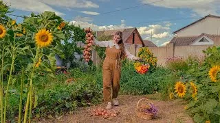 Thumbnail: Endless Summer Days in the Countryside | Finding Joy in Simple Things: Cottagecore Harvests & Sewing