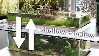 Thumbnail: Moving Desktop Aquarium (With a Hidden Cavern)