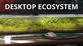 Thumbnail: I Built an Aquarium Under My Monitors
