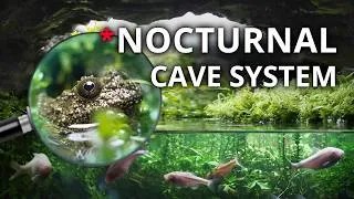 Thumbnail: Inside My Flooded Cave Ecosystem (One Year of Growth)