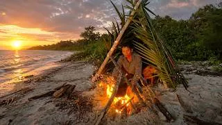 Thumbnail: SOLO SURVIVAL CAMPING ON REMOTE BEACH  | DIY SHELTER CATCH & COOK WITH MY DOG!