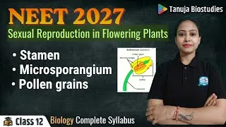 Thumbnail: Stamen, Microsporangium & Pollen grains | NEET 2027 | Sexual Reproduction in Flowering Plants 