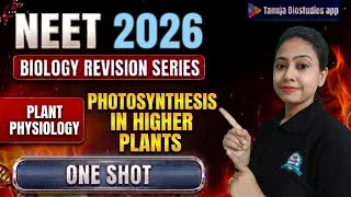Thumbnail: NEET 2026: Photosynthesis in higher plants | one shot | Plant Physiology | NEET 2026 Revision Series