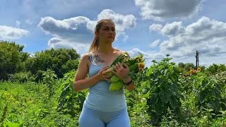 Thumbnail: A Hot Day in the Village | Harvesting Corn and Home-Grown Watermelon, and Beating the Heat