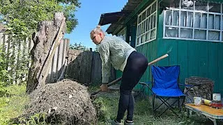 Thumbnail: Part 2. A Quiet Day in the Village | Clearing Overgrown Land & Unexpected Cat Visitor