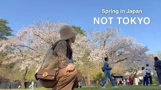 Thumbnail: Time travel to Edo period | Little Kyoto in northern Japan 🌸