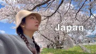Thumbnail: Japan’s Most Underrated Cherry Blossoms 🌸 A Quiet Spring in the Countryside