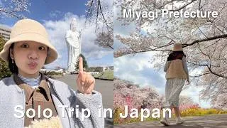 Thumbnail: What Spring Feels Like in Japan 🌸 (Not Tokyo) | Cherry Blossoms in Rural Japan