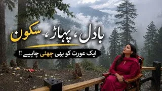 Thumbnail: A Mandatory Break For Myself | Vacation With My Family In Nathiyagali | Tarab Khan Vlogs
