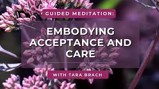 Thumbnail: Guided Meditation: Embodying Acceptance and Care | Tara Brach