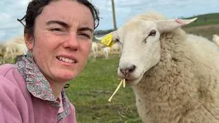 Thumbnail: What Could Go Wrong?