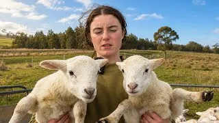 Thumbnail: The Ram Problem