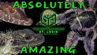 Thumbnail: I Tour Tarantula Cribs’ Reptile Room St. Louis