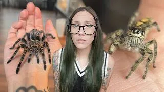Thumbnail: Animal Hoarding Accusations and PROOF (most) my spiders ARE ALIVE