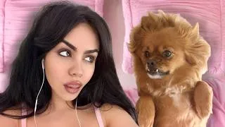 Thumbnail: Listen To Tara Yummy YAP While You Clean Your Room!