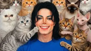 Thumbnail: Michael Jackson Meets the Most Beautiful Cat Breed in Every Country! 