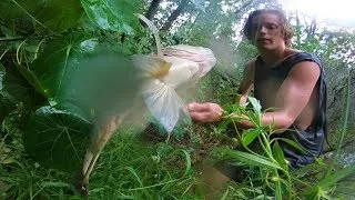 Thumbnail: SPEARFISHING IN A STORM | TDB
