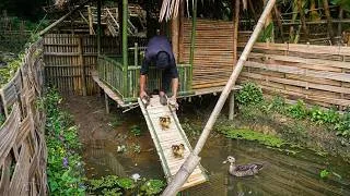 Thumbnail: Building a Bridge for Ducklings – Life on a Farm Deep in the Forest