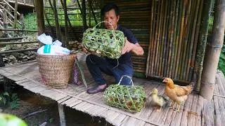 Thumbnail: Trading Homegrown Crops and Wild Forest Foods for Chickens and Ducks – Life on a Forest Farm