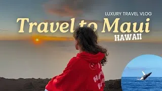 Thumbnail: TRAVEL TO MAUI HAWAII LUXURY TRAVEL VLOG | Whale Watching, Chocolate Taste Testing & 5-Star Hotels
